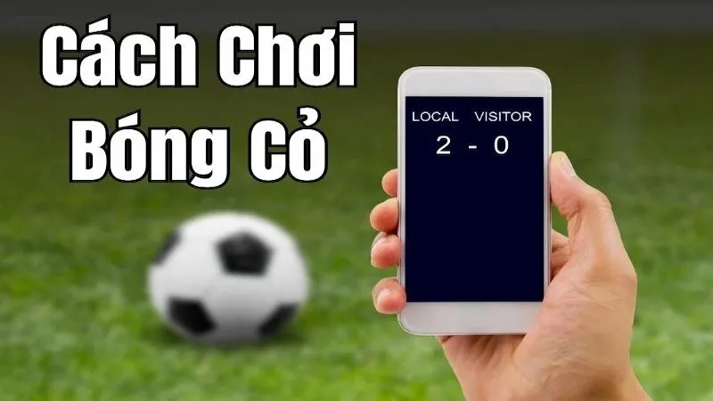 Bóng cỏ là gì?